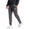 adidas Entrada 22 Jogginghose Herren AE2C - tegrfo XL/T2