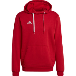 adidas Entrada 22 Hoodie Herren AEPU - tepore L/T3