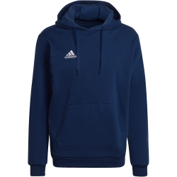 adidas Entrada 22 Hoodie Herren AEQ1 - tenabl L/T