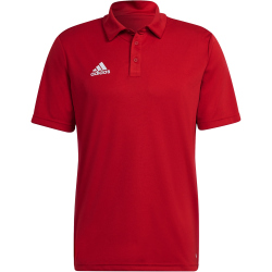 adidas Entrada 22 Poloshirt Herren AEPU - tepore M/T