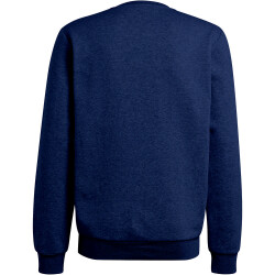 adidas Entrada 22 Sweatshirt Herren AEQ1 - tenabl S