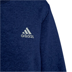 adidas Entrada 22 Sweatshirt Herren AEQ1 - tenabl S