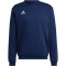 adidas Entrada 22 Sweatshirt Herren AEQ1 - tenabl S
