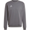 adidas Entrada 22 Sweatshirt Herren AE2C - tegrfo S