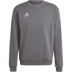 adidas Entrada 22 Sweatshirt Herren AE2C - tegrfo XL