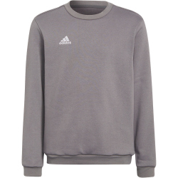 adidas Entrada 22 Sweatshirt Kinder AE2C - tegrfo 116