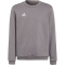 adidas Entrada 22 Sweatshirt Kinder AE2C - tegrfo 116