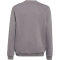 adidas Entrada 22 Sweatshirt Kinder AE2C - tegrfo 116