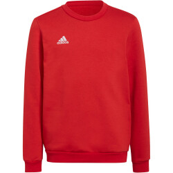 adidas Entrada 22 Sweatshirt Kinder AEPU - tepore 116
