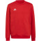 adidas Entrada 22 Sweatshirt Kinder AEPU - tepore 116