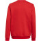 adidas Entrada 22 Sweatshirt Kinder AEPU - tepore 116