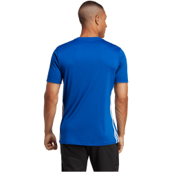 adidas Tabela 23 Fu&szlig;ball Trikot Herren AD8R - royblu/white M