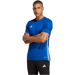 adidas Tabela 23 Fu&szlig;ball Trikot Herren AD8R - royblu/white XL