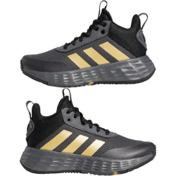 adidas Ownthegame 2.0 Basketballschuhe AA2V - grefiv/magold/cblack 31