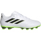 adidas Copa Pure II.4 FxG Multi-Ground Fu&szlig;ballschuhe Herren 01F7 - ftwwht/cblack/luclem 41 1/3
