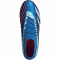 adidas Predator Accuracy.1 FG Naturrasen Fu&szlig;ballschuhe 56F0 - broyal/ftwwht/bliblu 42