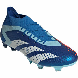 adidas Predator Accuracy.1 FG Naturrasen Fußballschuhe 56F0 - broyal/ftwwht/bliblu 46