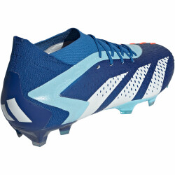 adidas Predator Accuracy.1 FG Naturrasen Fußballschuhe 56F0 - broyal/ftwwht/bliblu 46