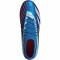 adidas Predator Accuracy.1 FG Naturrasen Fußballschuhe 56F0 - broyal/ftwwht/bliblu 46