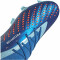 adidas Predator Accuracy.1 FG Naturrasen Fußballschuhe 56F0 - broyal/ftwwht/bliblu 46