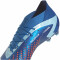 adidas Predator Accuracy.1 FG Naturrasen Fußballschuhe 56F0 - broyal/ftwwht/bliblu 46