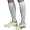 adidas Predator Accuracy.1 FG Naturrasen Fußballschuhe 01F7 - ftwwht/cblack/luclem 41 1/3