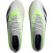 adidas Predator Accuracy.1 FG Naturrasen Fußballschuhe 01F7 - ftwwht/cblack/luclem 41 1/3