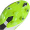 adidas Predator Accuracy.1 FG Naturrasen Fußballschuhe 01F7 - ftwwht/cblack/luclem 44 2/3
