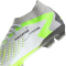 adidas Predator Accuracy.2 FG Firm-Ground Fußballschuhe 01F7 - ftwwht/cblack/luclem 44 2/3