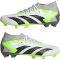 adidas Predator Accuracy.2 FG Firm-Ground Fußballschuhe 01F7 - ftwwht/cblack/luclem 44 2/3