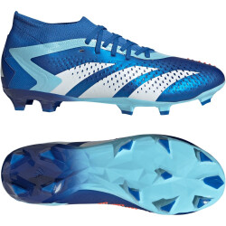 adidas Predator Accuracy.2 FG Firm-Ground Fußballschuhe 56F0 - broyal/ftwwht/bliblu 41 1/3