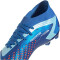 adidas Predator Accuracy.2 FG Firm-Ground Fußballschuhe 56F0 - broyal/ftwwht/bliblu 41 1/3