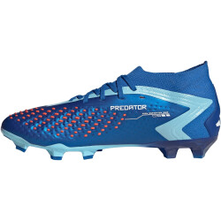 adidas Predator Accuracy.2 FG Firm-Ground Fußballschuhe 56F0 - broyal/ftwwht/bliblu 46 2/3