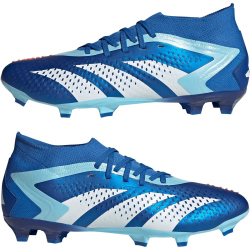adidas Predator Accuracy.2 FG Firm-Ground Fußballschuhe 56F0 - broyal/ftwwht/bliblu 46 2/3