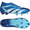 adidas Predator Accuracy.2 FG Firm-Ground Fußballschuhe 56F0 - broyal/ftwwht/bliblu 46 2/3