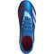 adidas Predator Accuracy.2 FG Firm-Ground Fußballschuhe 56F0 - broyal/ftwwht/bliblu 46 2/3