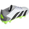 adidas PREDATOR ACCURACY.3 L FG Firm-Ground Fußballschuhe Herren 01F7 - ftwwht/cblack/luclem 44 2/3