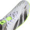adidas Predator Accuracy.4 IN Sala Fu&szlig;ballschuhe Herren 01F7 - ftwwht/cblack/luclem 43 1/3