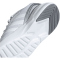 adidas Nebzed Cloudfoam Running Sneaker Damen ADAN - dshgry/ftwwht/silvmt 37 1/3