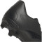 adidas Predator Accuracy.4 FxG Multi-Ground Fußballschuhe Herren A0QM - cblack/cblack/ftwwht 36