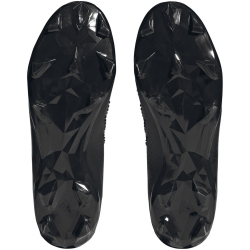 adidas Predator Accuracy.2 FG Firm-Ground Fu&szlig;ballschuhe Herren A0QM - cblack/cblack/ftwwht 39 1/3
