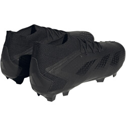 adidas Predator Accuracy.2 FG Firm-Ground Fußballschuhe Herren A0QM - cblack/cblack/ftwwht 46