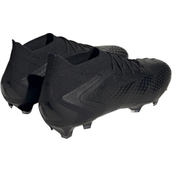 adidas Predator Accuracy.1 FG Naturrasen Fu&szlig;ballschuhe A0QM - cblack/cblack/ftwwht 41 1/3