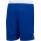 adidas 3G Speed Reversible Basketballshorts Kinder 55F0 - croyal/white 140