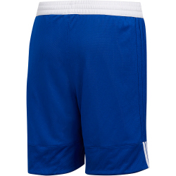 adidas 3G Speed Reversible Basketballshorts Kinder 55F0 - croyal/white 176