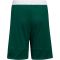 adidas 3G Speed Reversible Basketballshorts Kinder A0QE - drkgrn/white 140