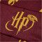 hummel hmlHARRY POTTER Schal Kinder 3679 - catawba grape