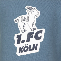 hummel 1. FC Köln T-Shirt 2023/24 Babys