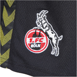 hummel 1. FC K&ouml;ln Torwartshorts 2023/24