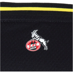 hummel 1. FC K&ouml;ln Torwarttrikot 2023/24 Kinder